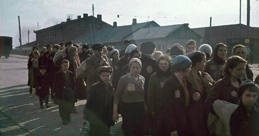 «Дарога ў пекла даўжынёй 800 дзён»