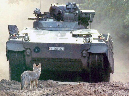 bundeswehr.jpg bundeswehr.jpg