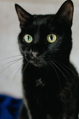 c_fk_d05_lq_dd4_logo.jpg c_fk_d05_lq_dd4_logo.jpg