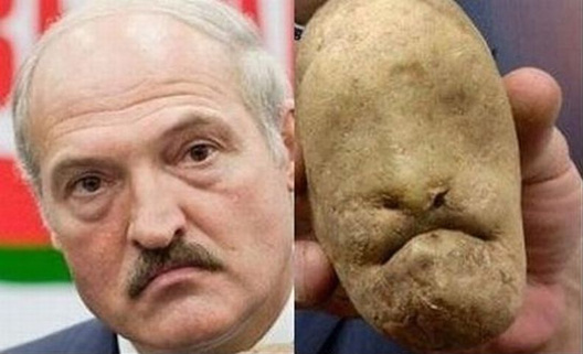 Калаж з fishki.net Калаж з fishki.net