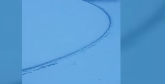 chavusy.png chavusy.png