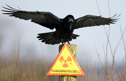 Ілюстрацыйнае фота: «Reuters» Ілюстрацыйнае фота: «Reuters»