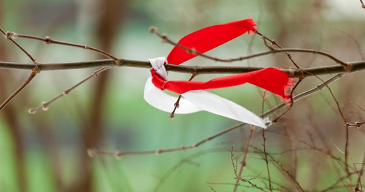 BYSOL абвясціў новы дабрачынны збор