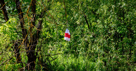 Палітычны пераслед у Беларусі за 25 кастрычніка