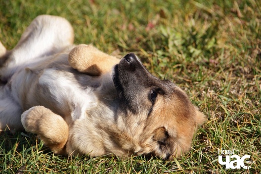 2/2 cksujzhu6yk_logo.jpg