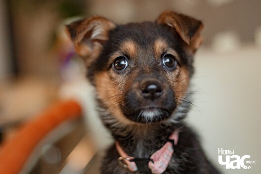 cm7fkjzwdh8_logo.jpg cm7fkjzwdh8_logo.jpg