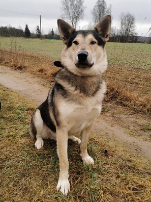 cx6nkae5m8e_logo.jpg cx6nkae5m8e_logo.jpg