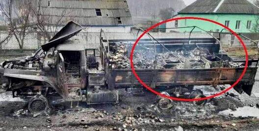 czypy_1205.jpg czypy_1205.jpg