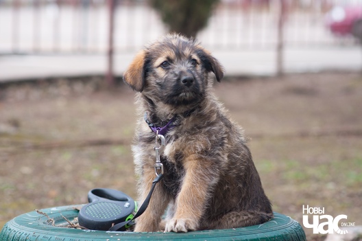 d0jf_9kpfsc_logo.jpg d0jf_9kpfsc_logo.jpg