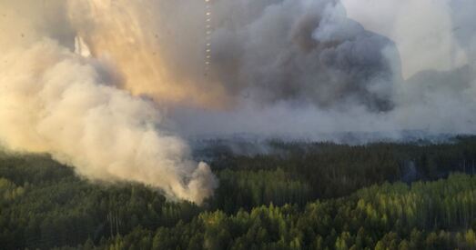 У Чарнобыльскай зоне гарыць лес