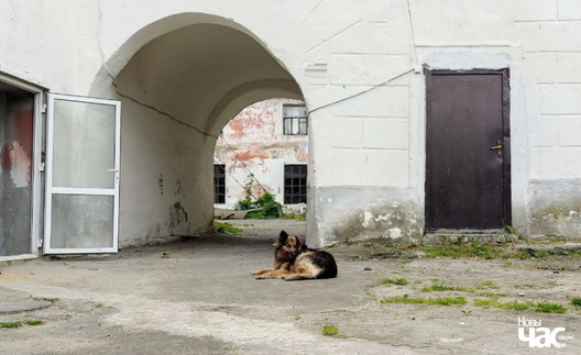 3/4 dalina_anjolau_dzijana_seradzjuk__20__logo_1.jpg