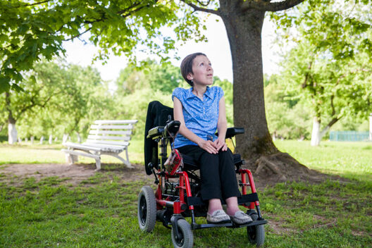 dar_ja_lis.jpg dar_ja_lis.jpg