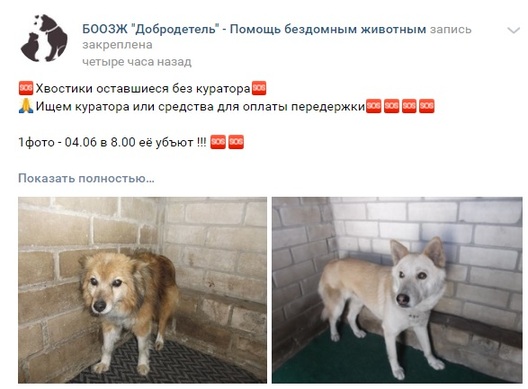 data_death.jpg data_death.jpg