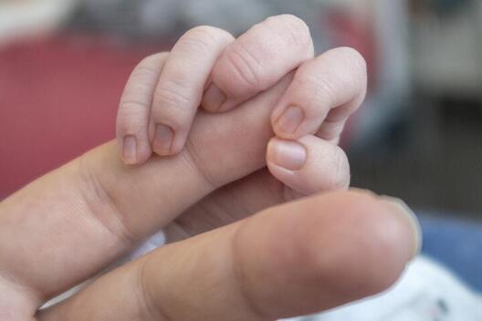 Ілюстрацыйны здымак tut.by Ілюстрацыйны здымак tut.by