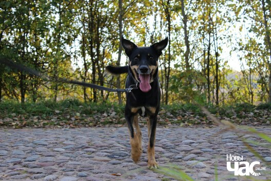 dewvztlb6jc_logo.jpg dewvztlb6jc_logo.jpg