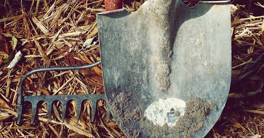 Вадзім Іосуб: Дэкрэт аб дармаедах ціха пахаваюць