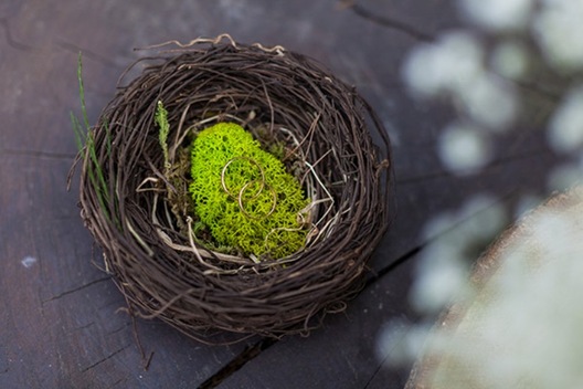 dp_06.05.2017_wedding_3817.jpg dp_06.05.2017_wedding_3817.jpg