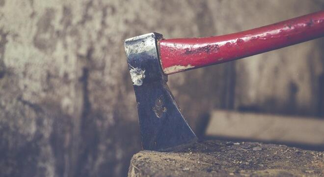 У Беларусі, 40% плошчы якой займаюць лясы, узніклі праблемы з дровамі У Беларусі, 40% плошчы якой займаюць лясы, узніклі праблемы з дровамі