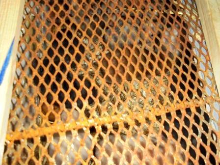 dsc01253_mini.jpg dsc01253_mini.jpg