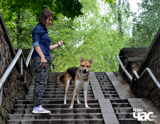 dsc_0166_logo.jpg dsc_0166_logo.jpg