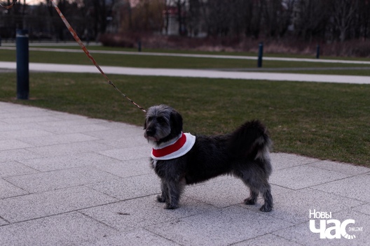 6/6 dsc_1055__1__logo.jpg