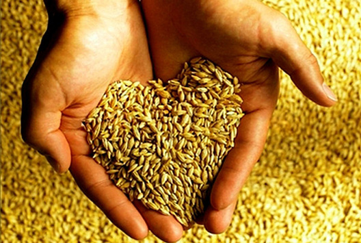 Фота zviazda.by Фота zviazda.by