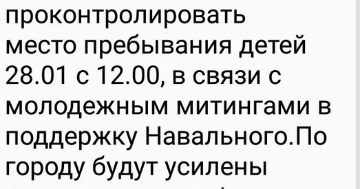 У Расіі на мітынгах будуць адлаўліваць школьнікаў
