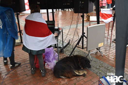 1/11 dzen_voli_batumi_25.03.233_logo.jpg