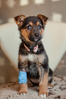 2/2 e25uhfyv_to_logo.jpg