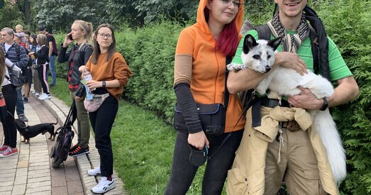 «Украіна — гуманная краіна». Ва Украіне праходзяць Маршы жывёл