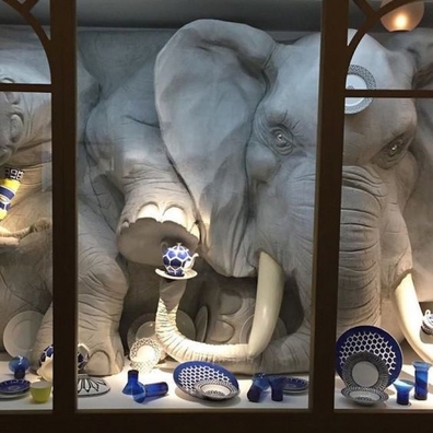 elephant.jpg elephant.jpg
