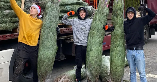 Беларус адкрыў у Польшчы калядны бізнес — дастаўляе кліентам елкі з Даніі