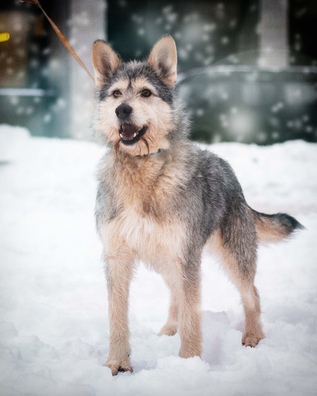 eskiqa0gjhs_logo.jpg eskiqa0gjhs_logo.jpg