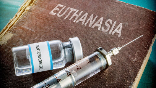 eutanazija.jpg eutanazija.jpg