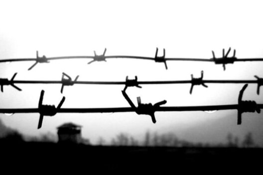 f680bb9c72_1_895x595_1.jpg f680bb9c72_1_895x595_1.jpg