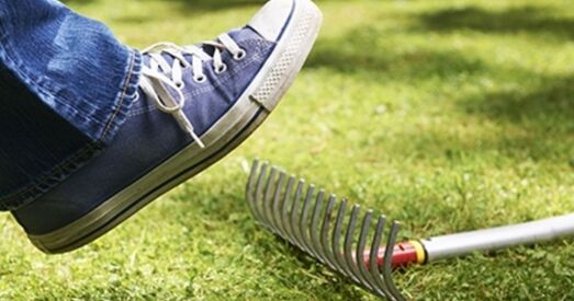 Мэты і задачы: зноў на тыя ж граблі?