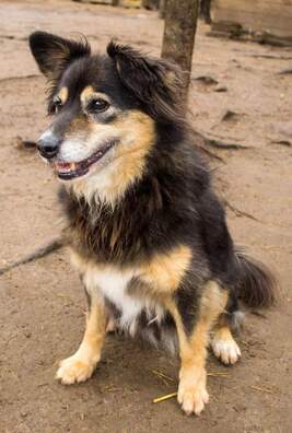 fb_img_1575545759455.jpg fb_img_1575545759455.jpg