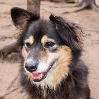 fb_img_1575545762079.jpg fb_img_1575545762079.jpg