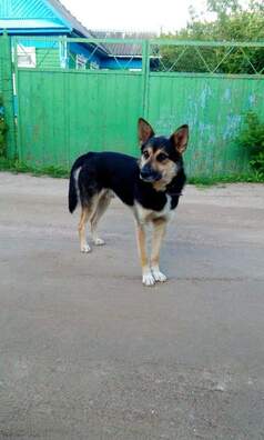 fb_img_1576149720195_logo.jpg fb_img_1576149720195_logo.jpg