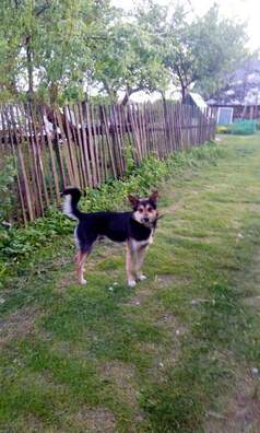 fb_img_1576149725866_logo.jpg fb_img_1576149725866_logo.jpg