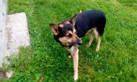 fb_img_1576149731427_logo.jpg fb_img_1576149731427_logo.jpg