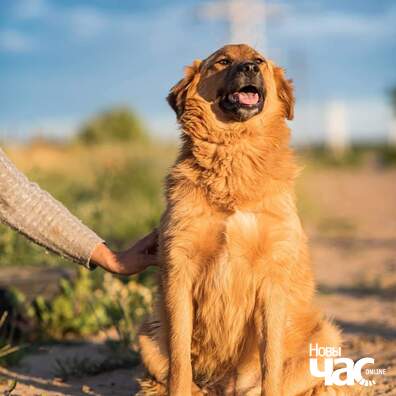 fb_img_1578892449996_logo.jpg fb_img_1578892449996_logo.jpg