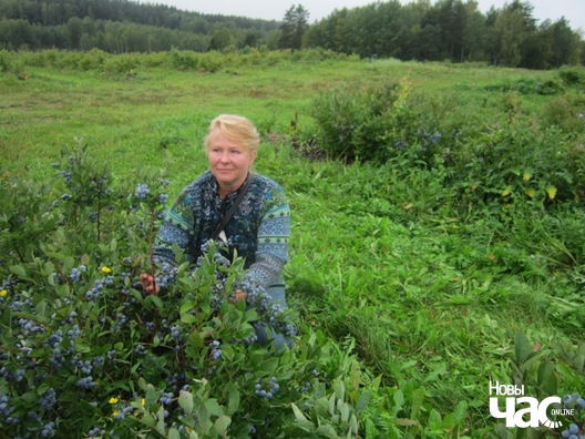 2/9 fermery_013_logo.jpg