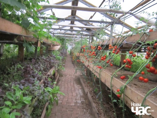 5/9 fermery_015_logo.jpg