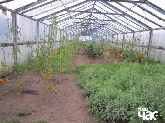 4/9 fermery_016_logo.jpg