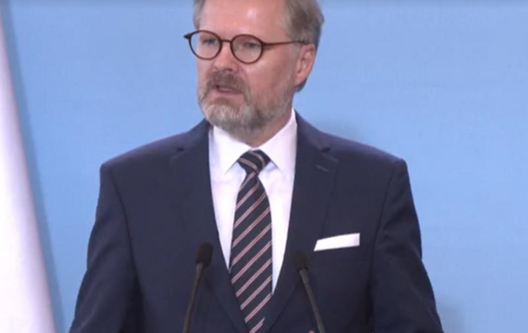 fijala.png fijala.png