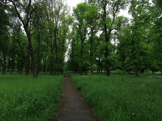file_765.jpg file_765.jpg