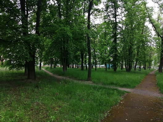 file_770.jpg file_770.jpg