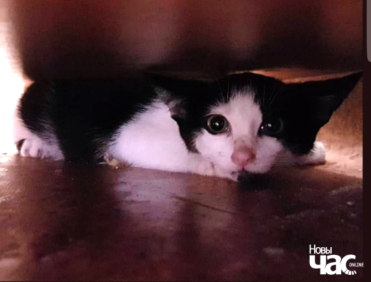 finik1__2__logo.jpg finik1__2__logo.jpg