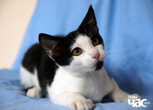 finik__3__logo.jpg finik__3__logo.jpg